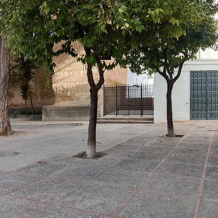赫雷斯Casa Mnuela - Centro Jerez - Parking Opcional公寓 外观 照片